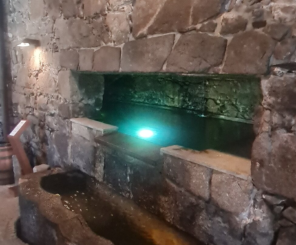 Burmester-加亚新城必去景点