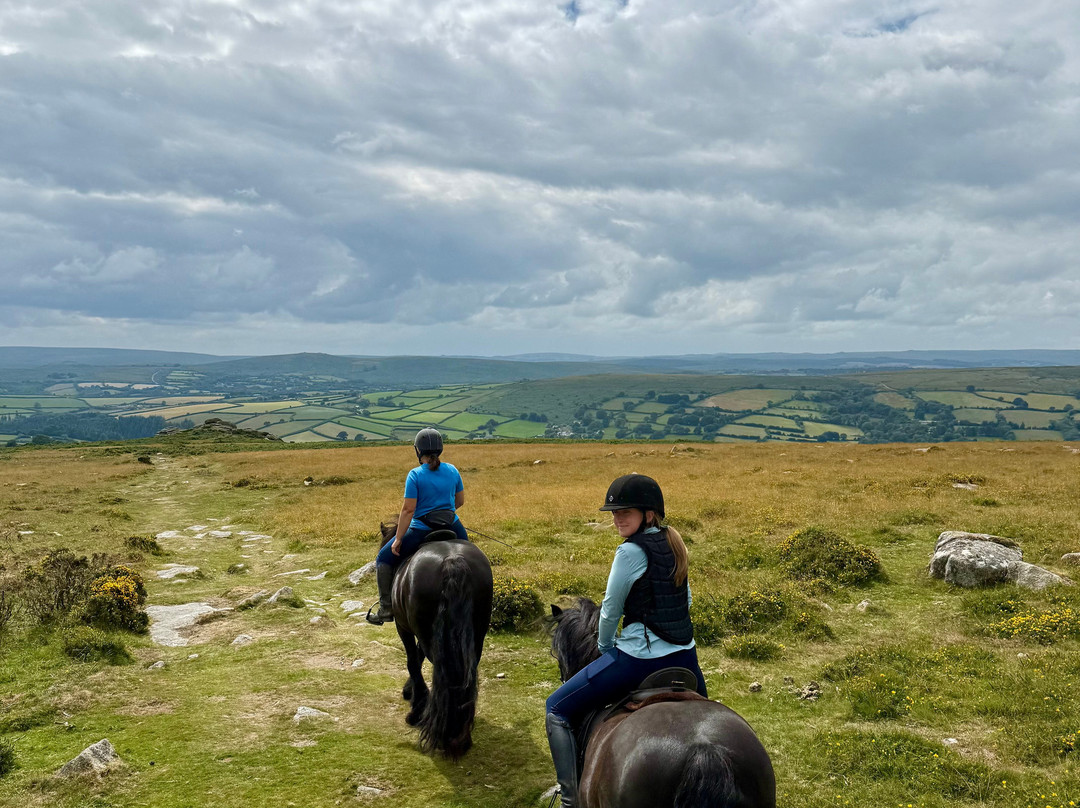Shilstone Rocks-Widecombe in the Moor必去景点