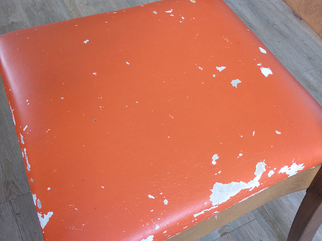 WWT Llanelli Wetland Centre-拉内利必去景点