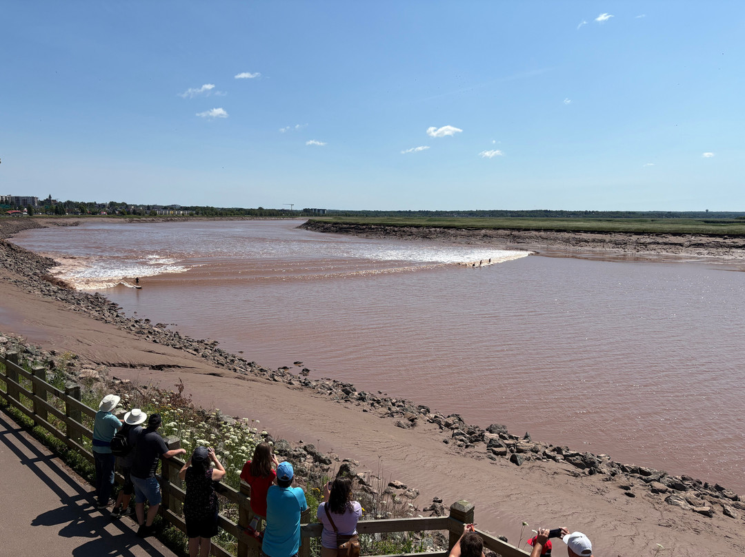 罗德蒙克顿酒店主图