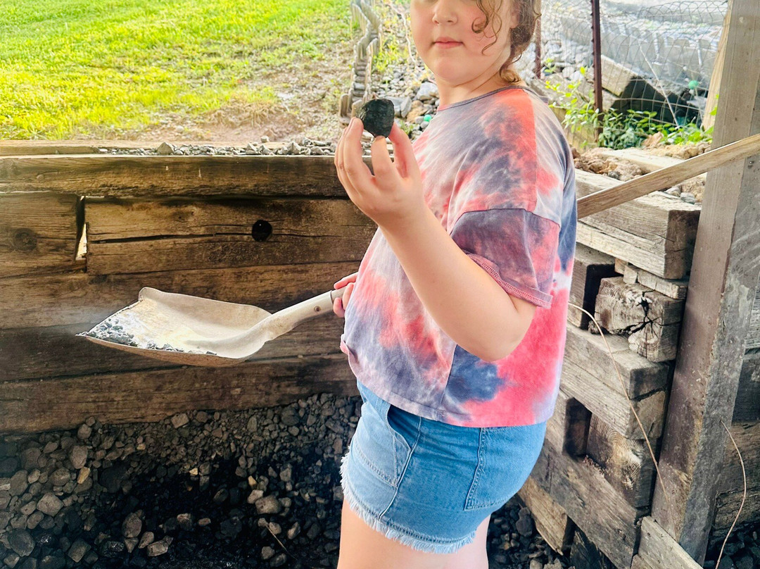 Coal Country Miniature Golf-Fairmont必去景点