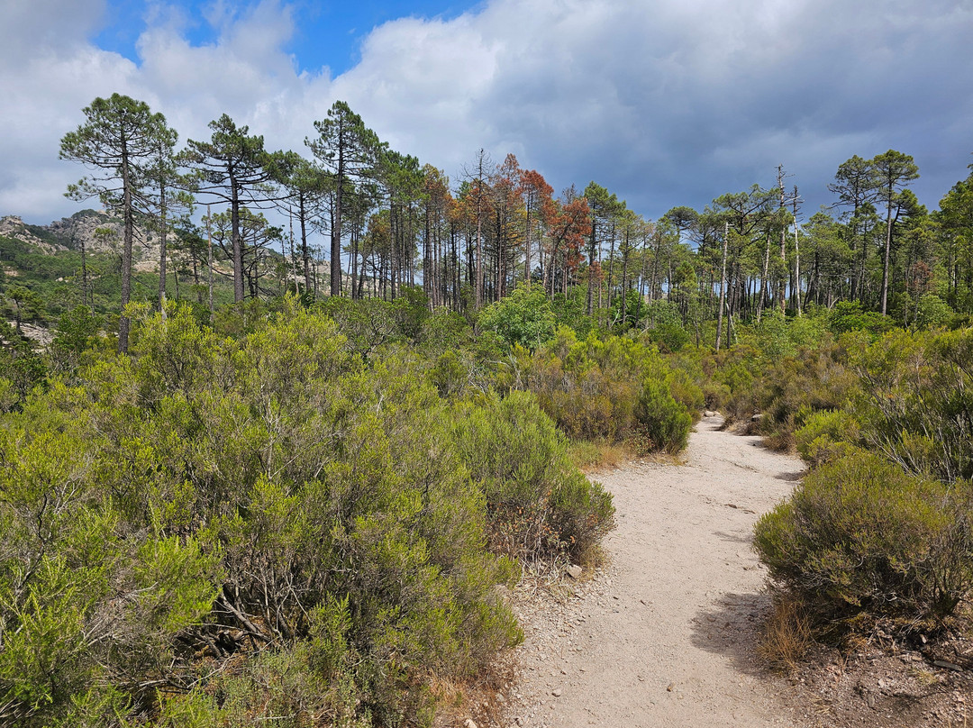Cascade de Piscia-维琪奥港必去景点