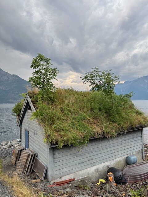 Wilderness Travel-伯克利必去景点