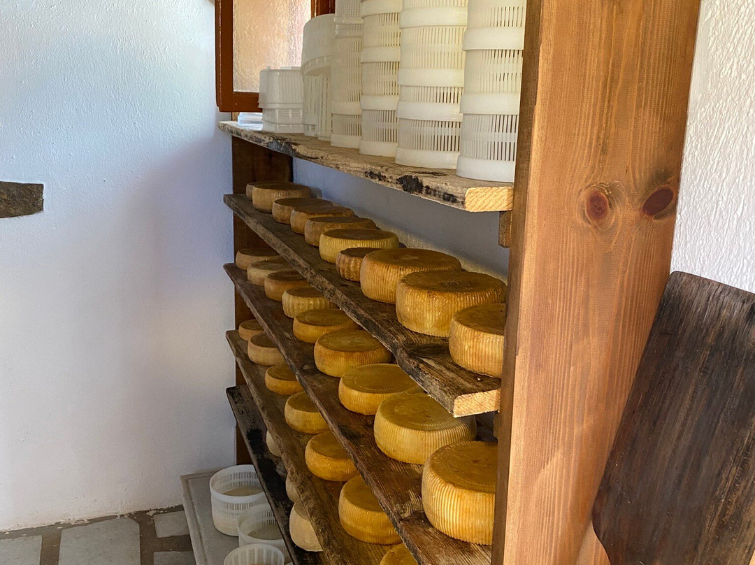 Armeos Farm Experience-Damarionas必去景点