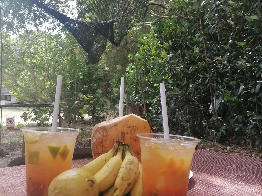 Rocco Locco Boat Charter & Tour-伊甸岛必去景点