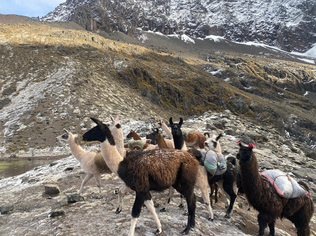Andean Lodges-库斯科必去景点