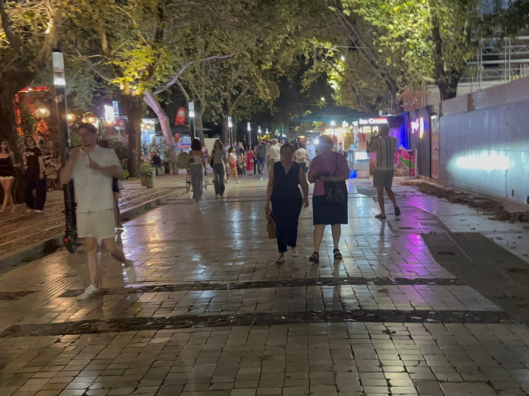 Rruga Murat Toptani-地拉那必去景点