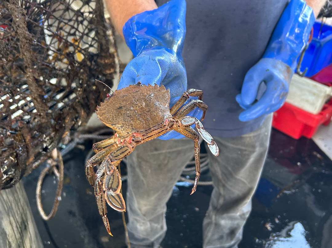 Amble boat trips-Amble必去景点