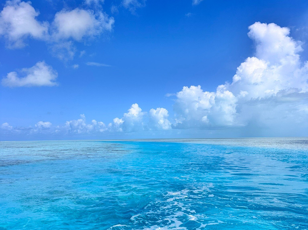 Bahamas Discovery Quest-长岛必去景点