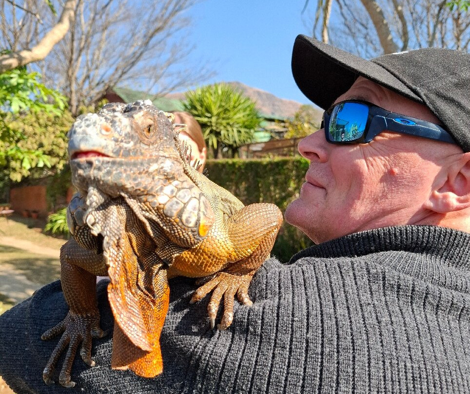 Dragon Rock Reptile Centre-温特顿必去景点