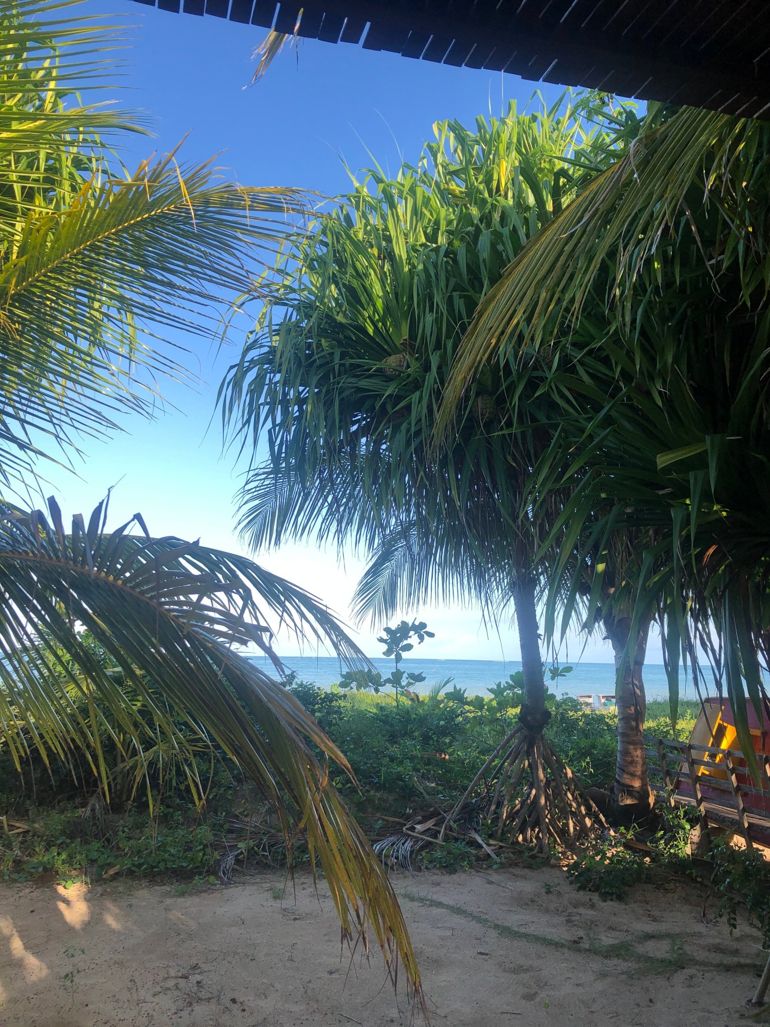 Pousada Origami-泳池