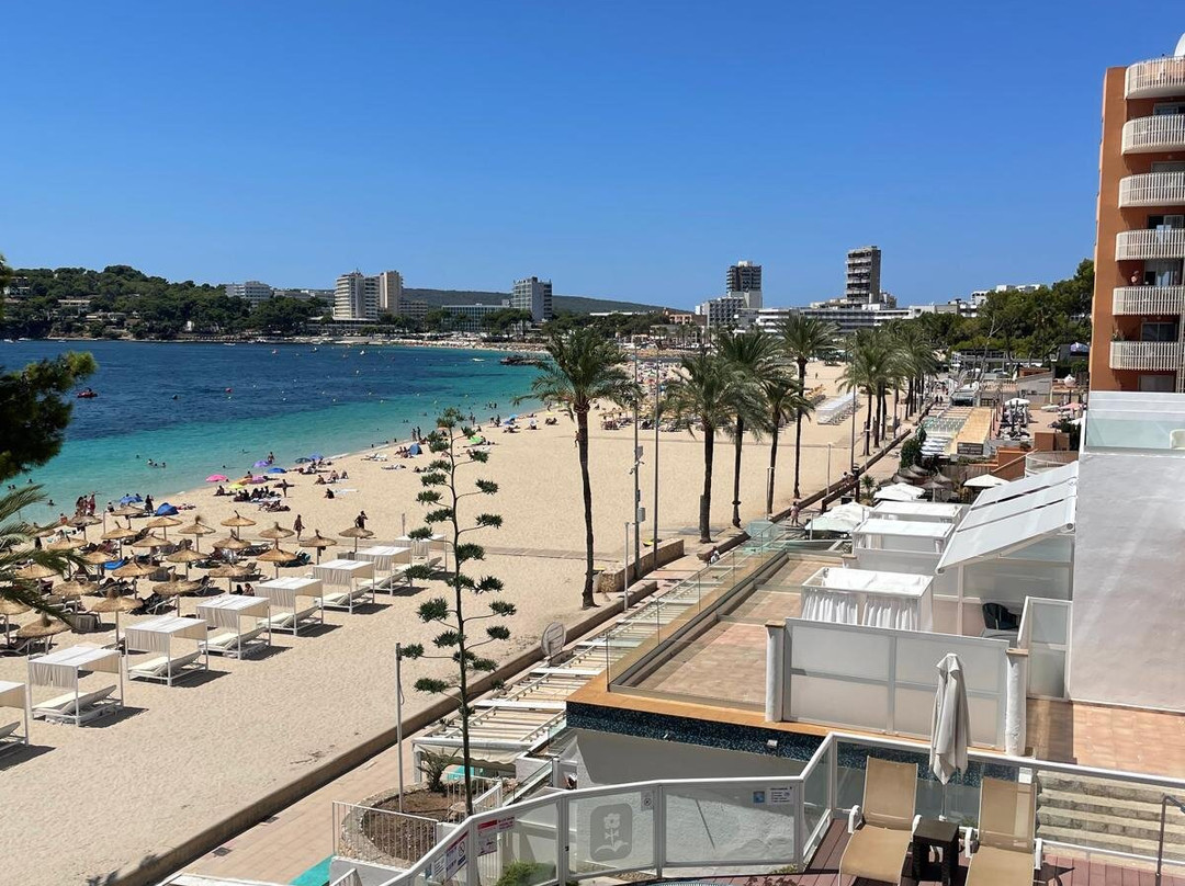 Flamboyan Caribe主图