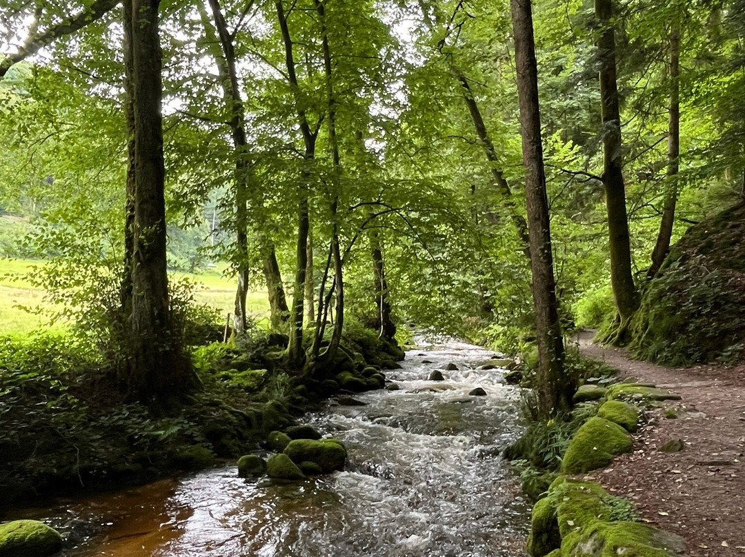 Geroldsau Waterfall-巴登巴登必去景点