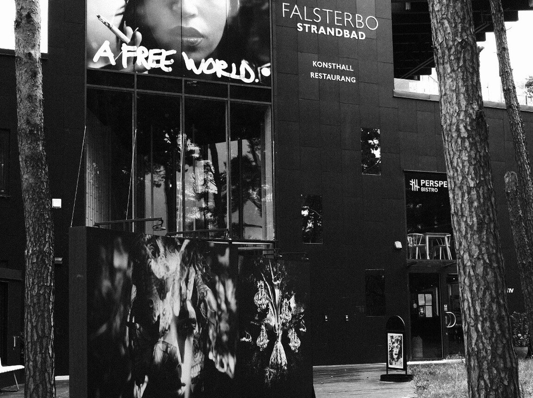 Falsterbo Photo Art Museum-Falsterbo必去景点