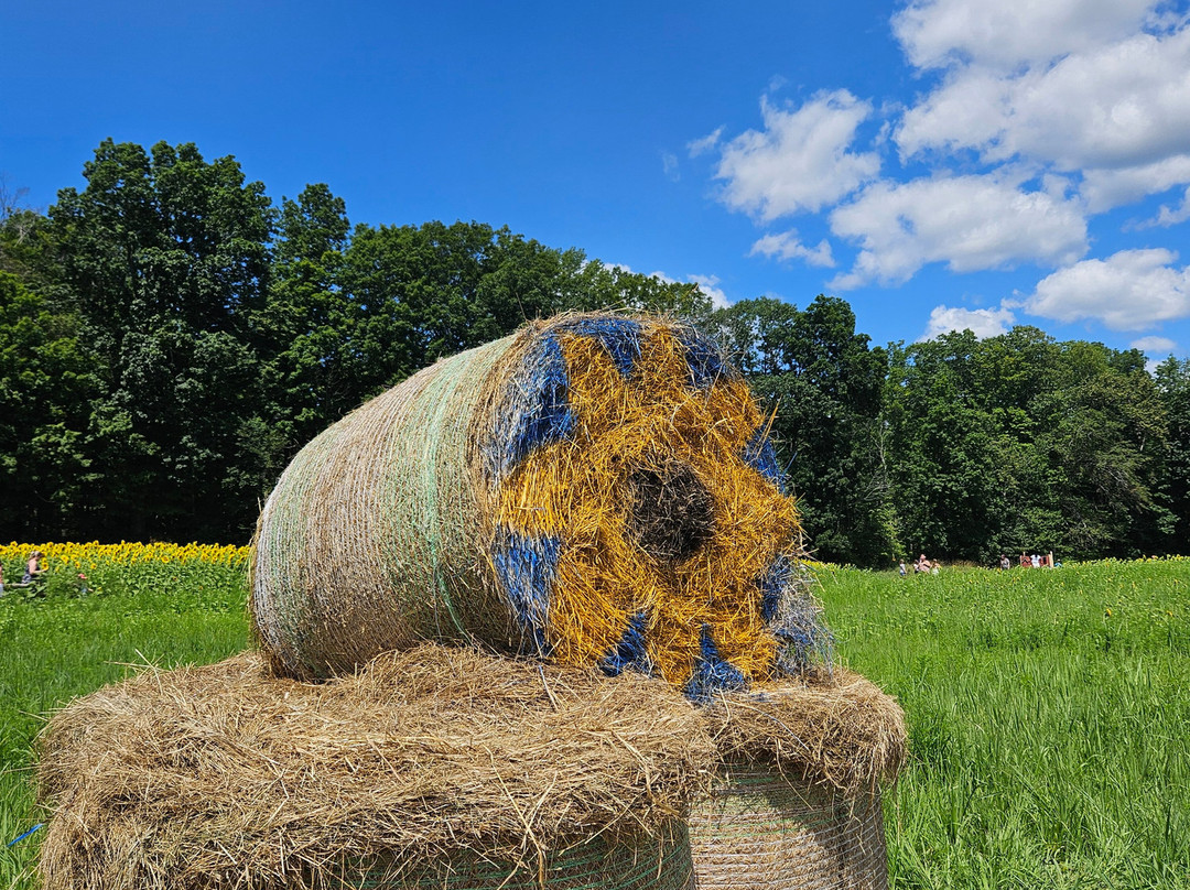 Coppal House Farm-Lee必去景点