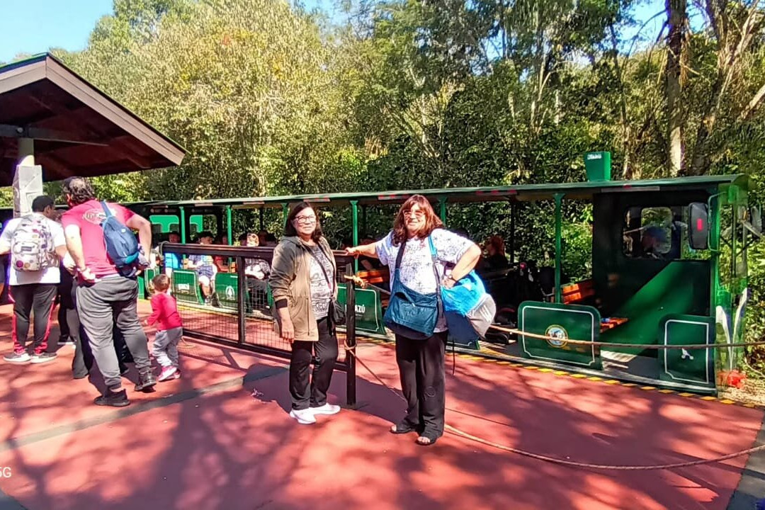 Tren Ecológico De La Selva