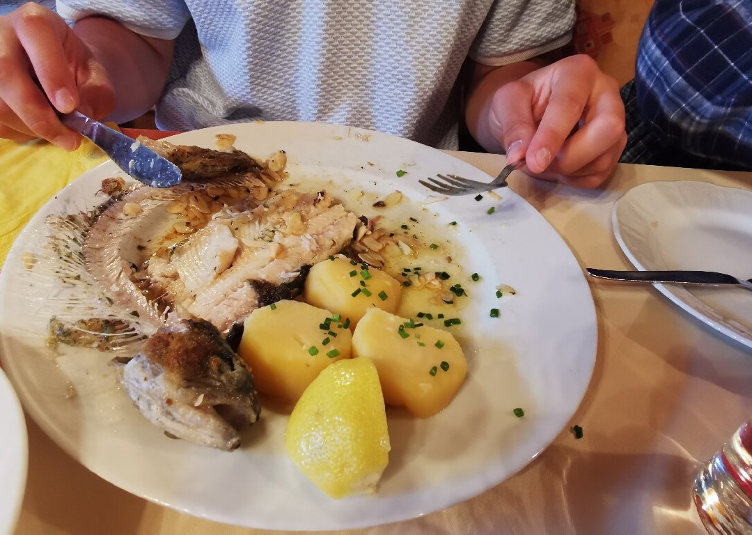 Pension Nina & Gasthof Alpenrose主图