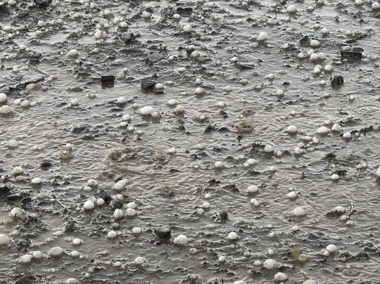 Black Hills Outdoor Fun-拉皮德城必去景点