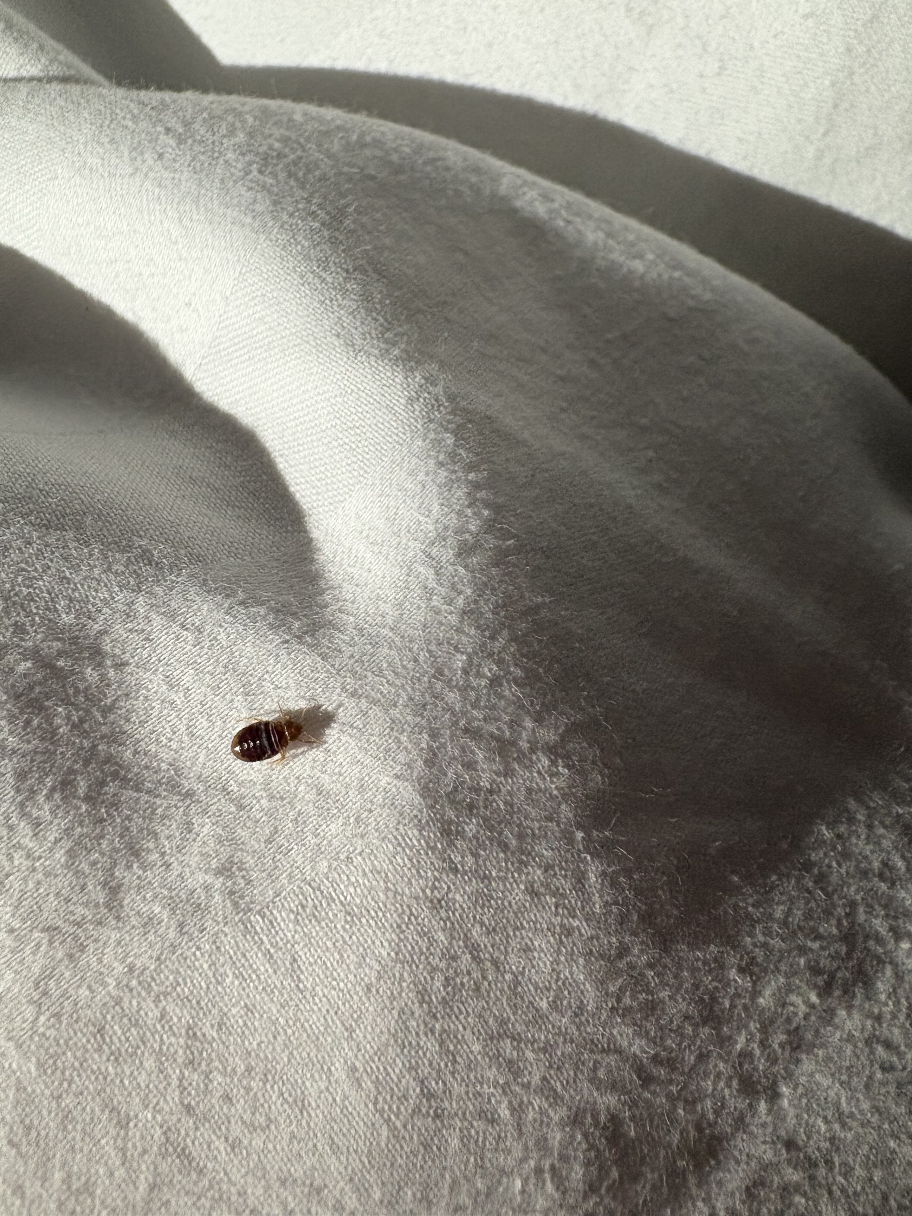 Claregalway Hotel-客卧