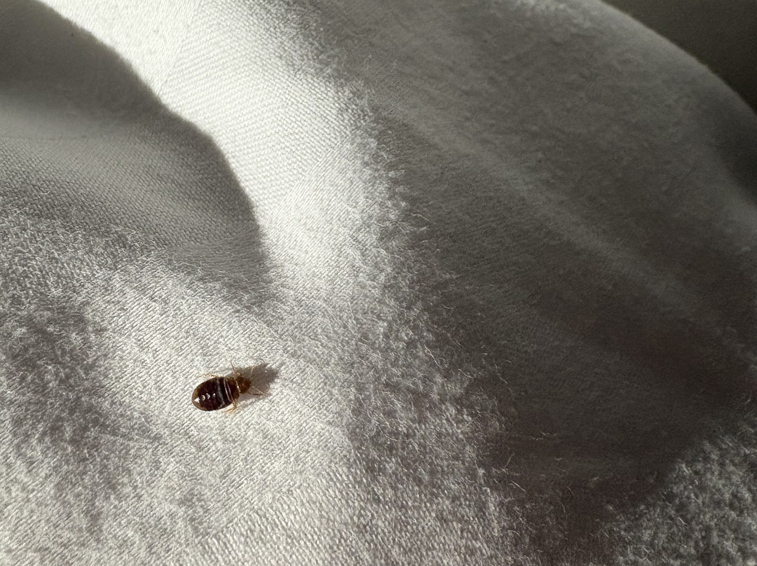 Claregalway Hotel主图