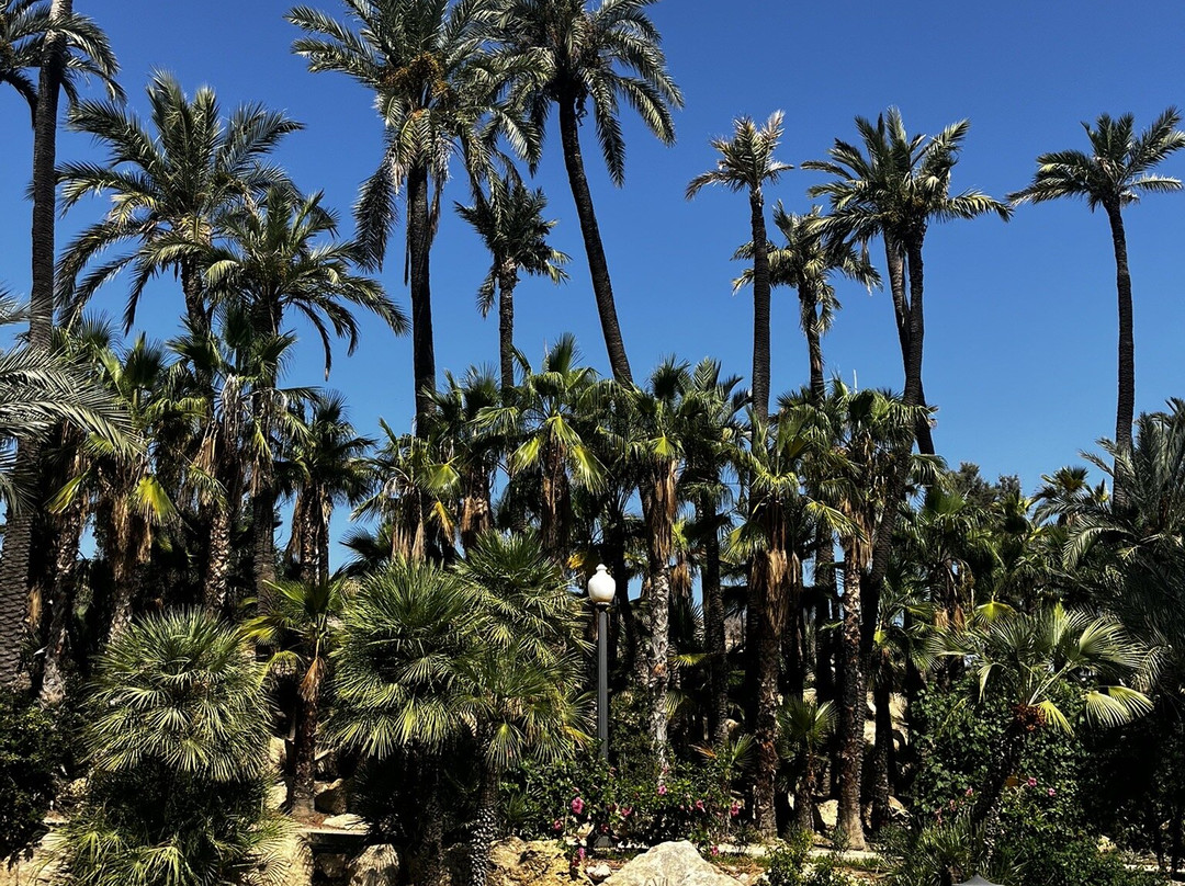 Parque El Palmeral-阿利坎特省必去景点