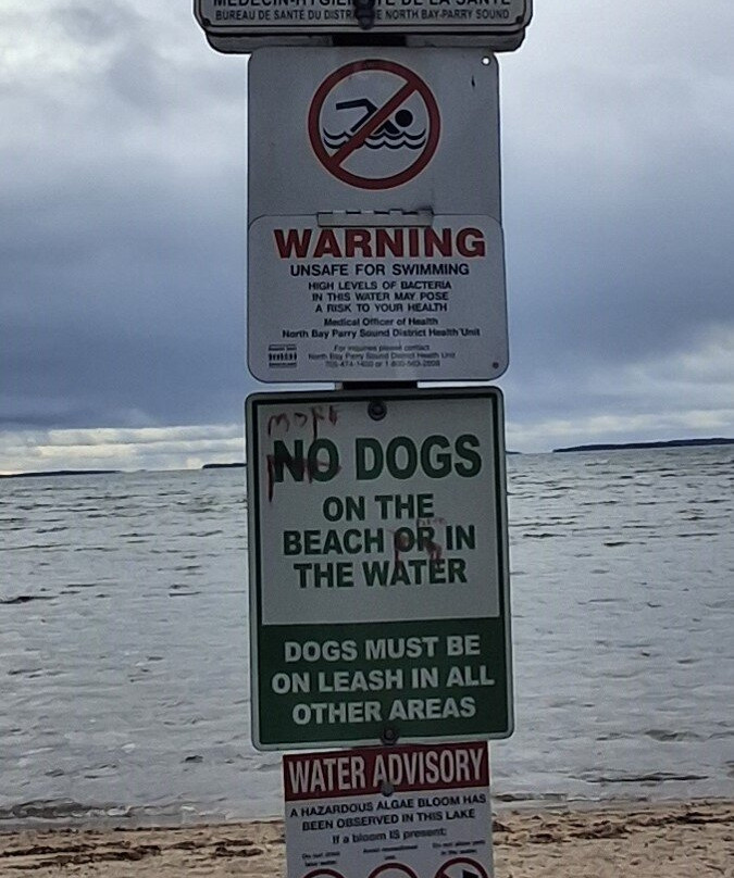 Silver Beach Park-诺斯贝必去景点