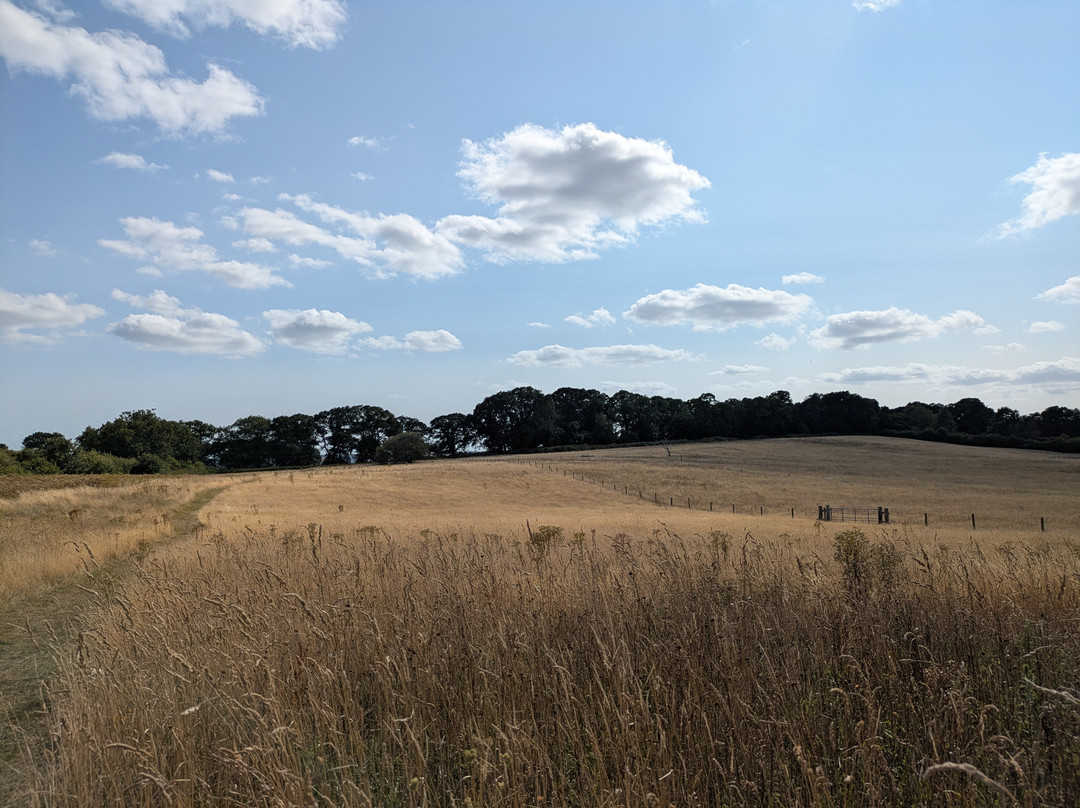 RSPB Arne-Arne必去景点