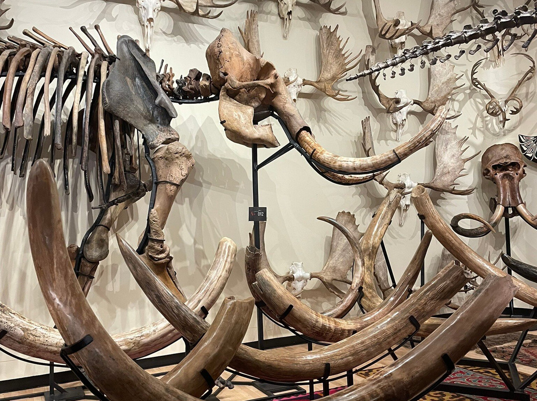 Hand of Man - Museum of Natural History, Cultural Arts & Conservation-邓肯必去景点