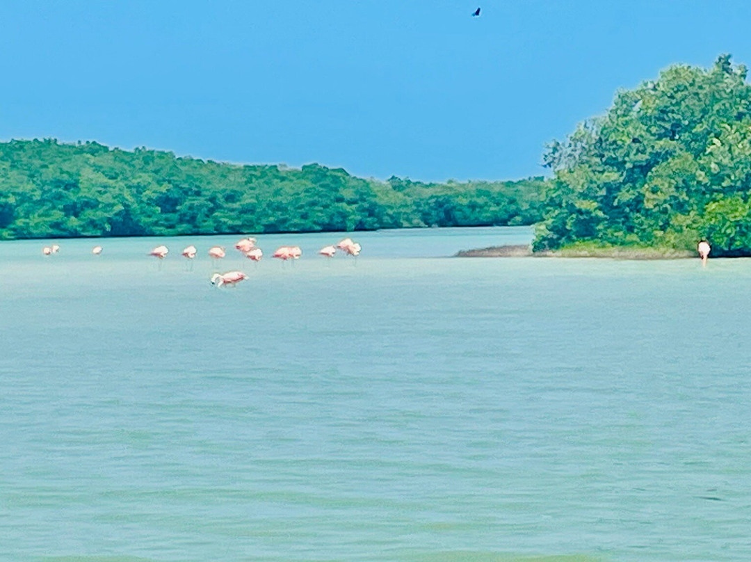 Parque Natural Ria Lagartos-里奥拉加托斯必去景点