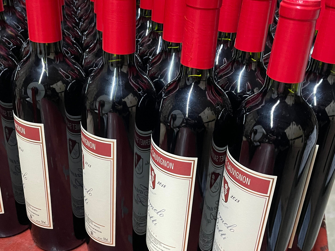 Bodega Carmelo Patti-路冉得库约必去景点