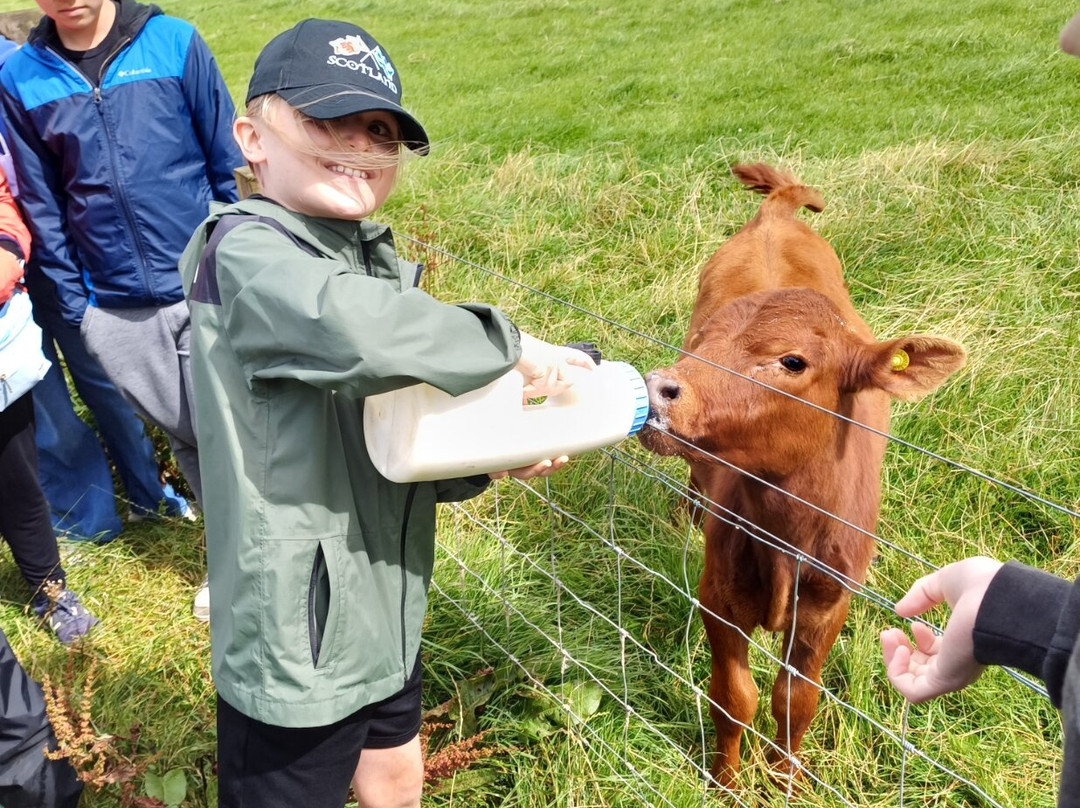 Bellevue Farm Tours-Blackwaterfoot必去景点