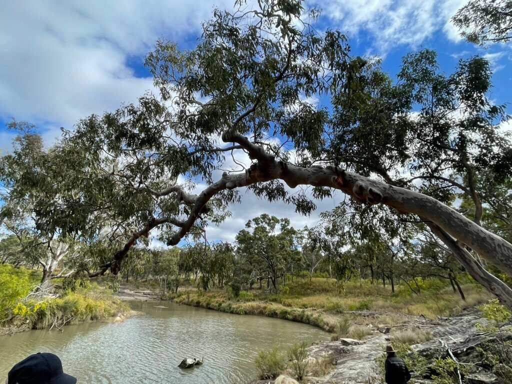 Boobook Explore-Roma必去景点