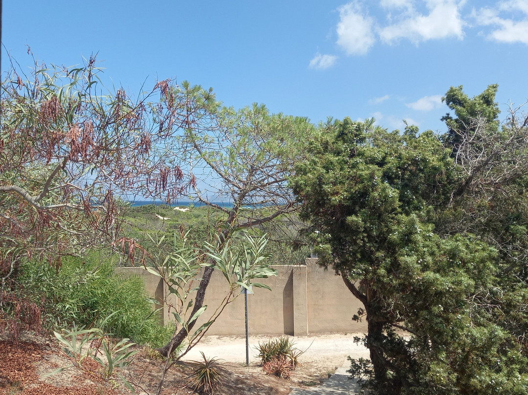 高尔夫阿心那拉营地旅馆主图