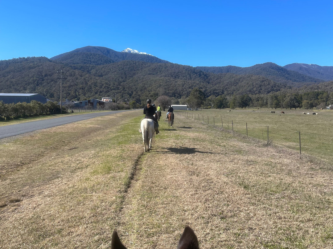 Bogong Horseback Adventures-Tawonga必去景点