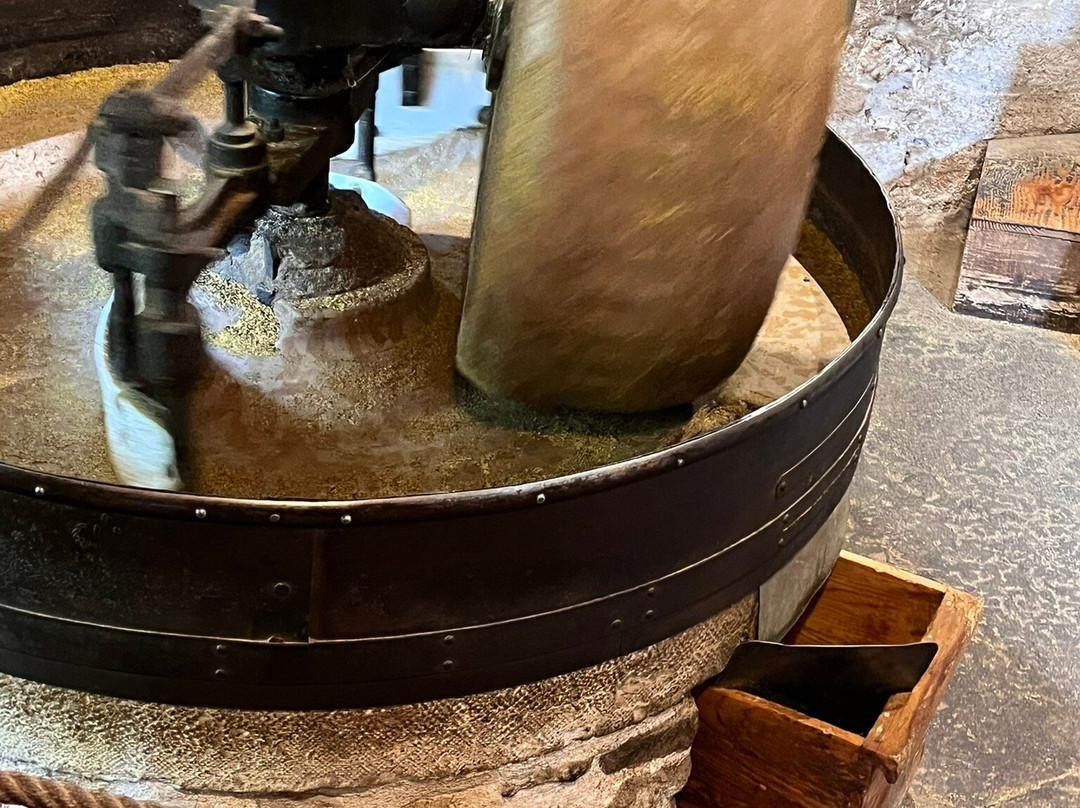 Moulin des Massons-Saint-Bonnet-le-Courreau必去景点