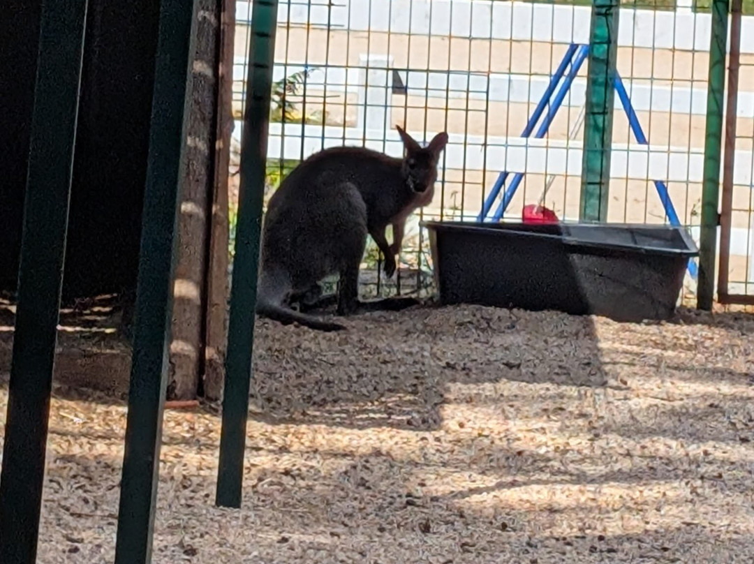 Ranch Aryen-Sutorina必去景点