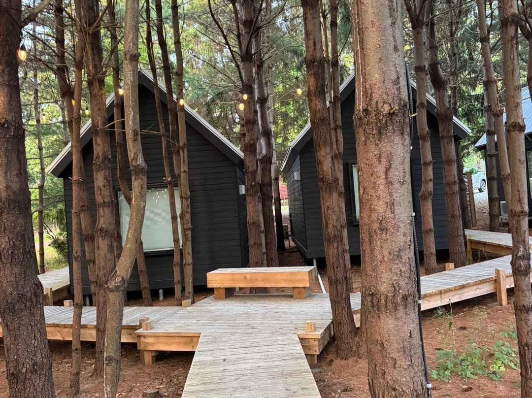 Black Forest Cabins