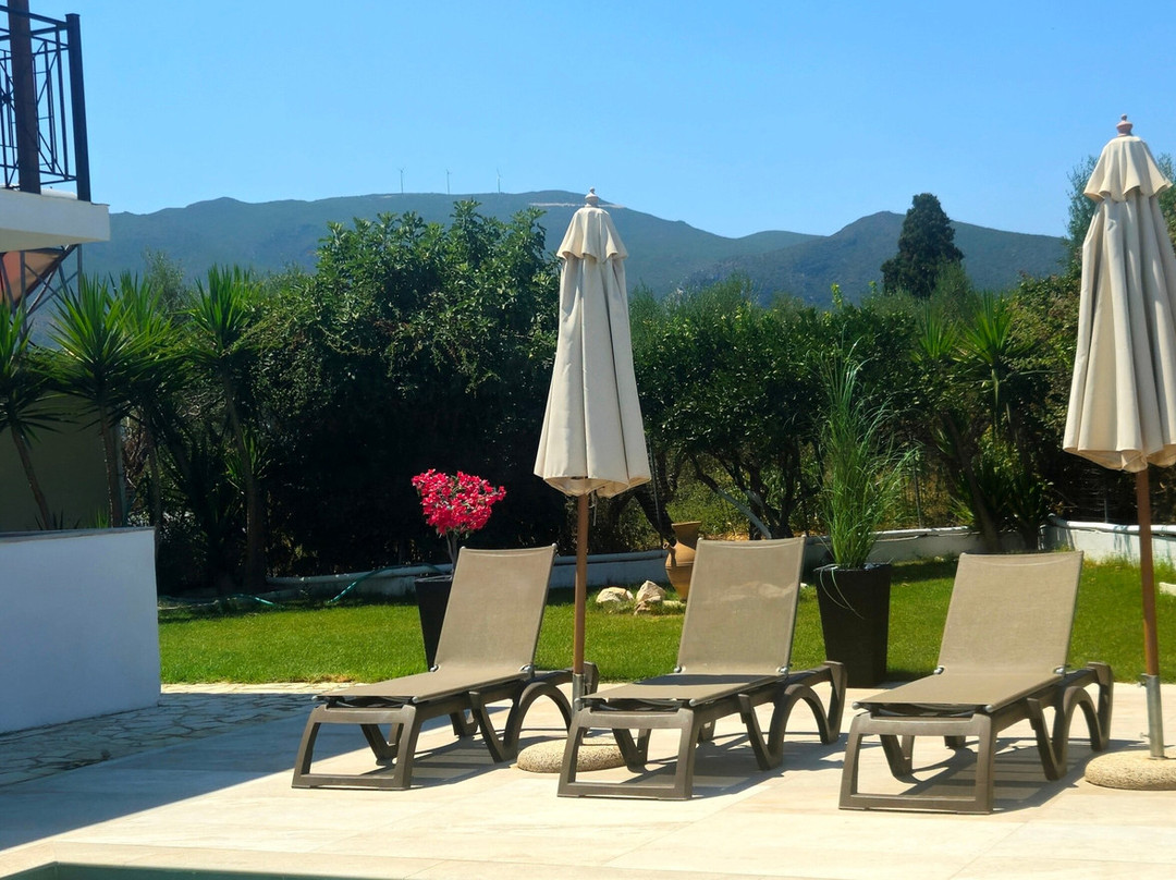 Barbara Ann Apartments主图