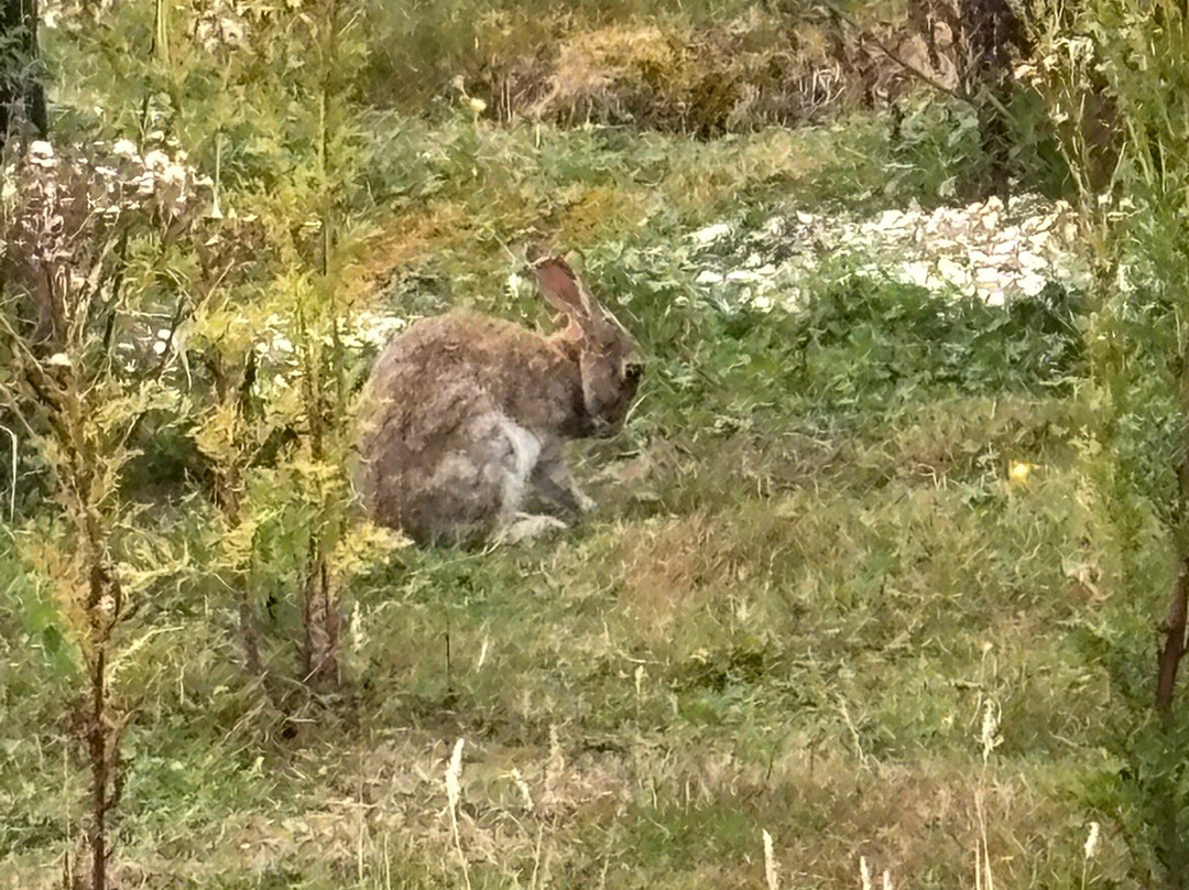 Days Inn by Wyndham Sutton Scotney South主图