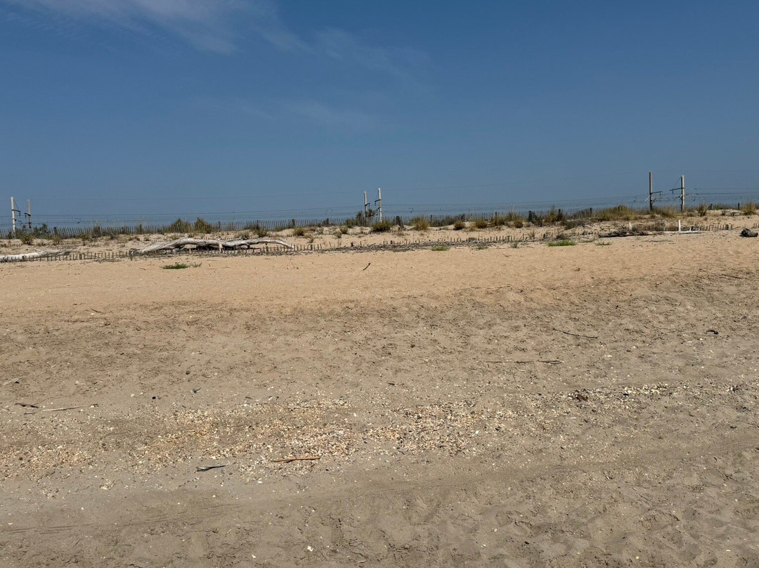 Baleine Beach-赛特必去景点