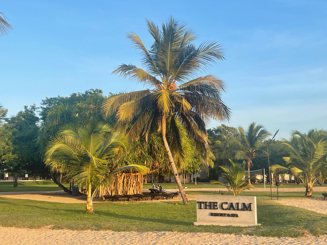 The Calm Resort & Spa主图
