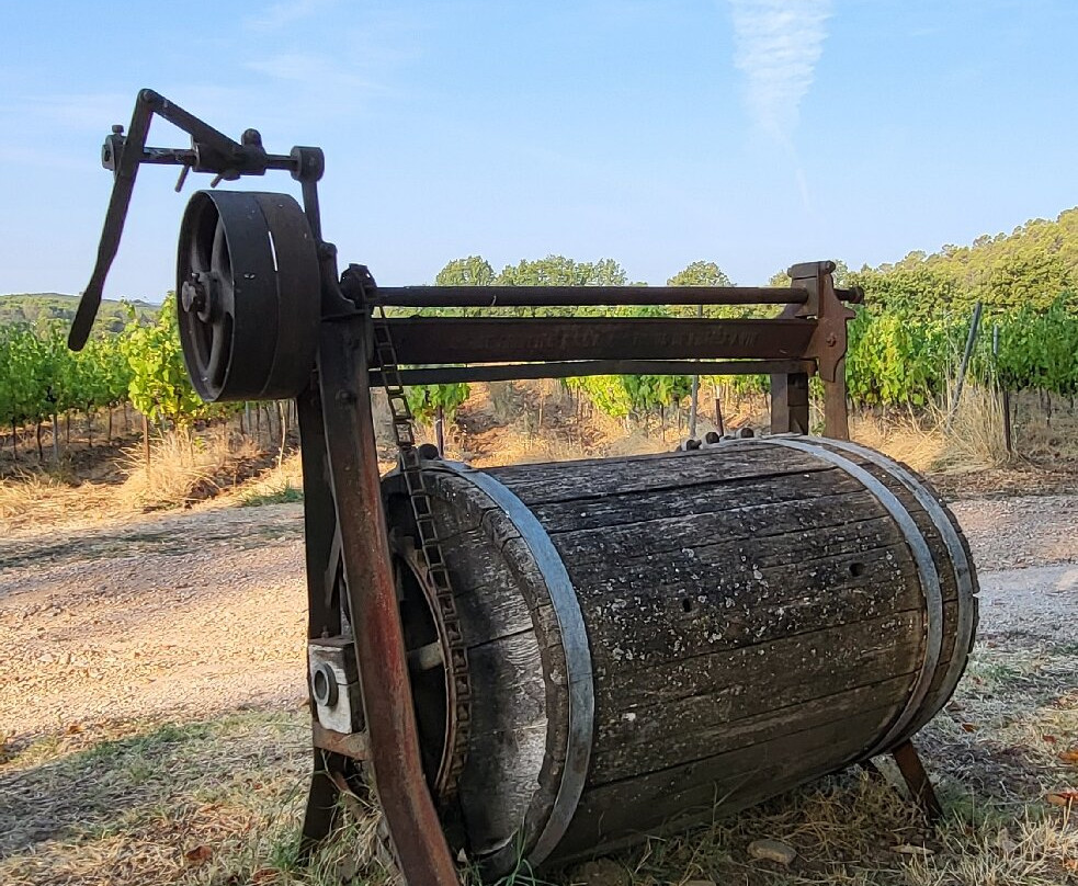 Chateau Nestuby主图