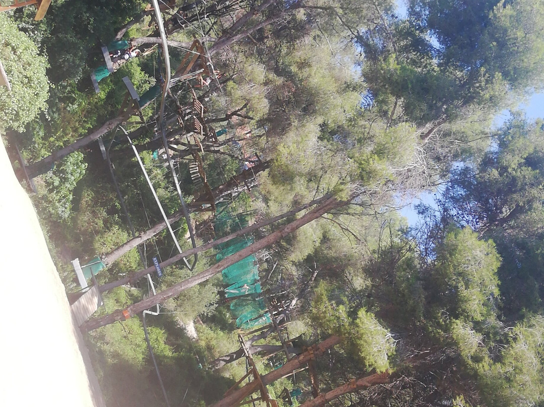 Jungle Trek-塔拉戈纳必去景点