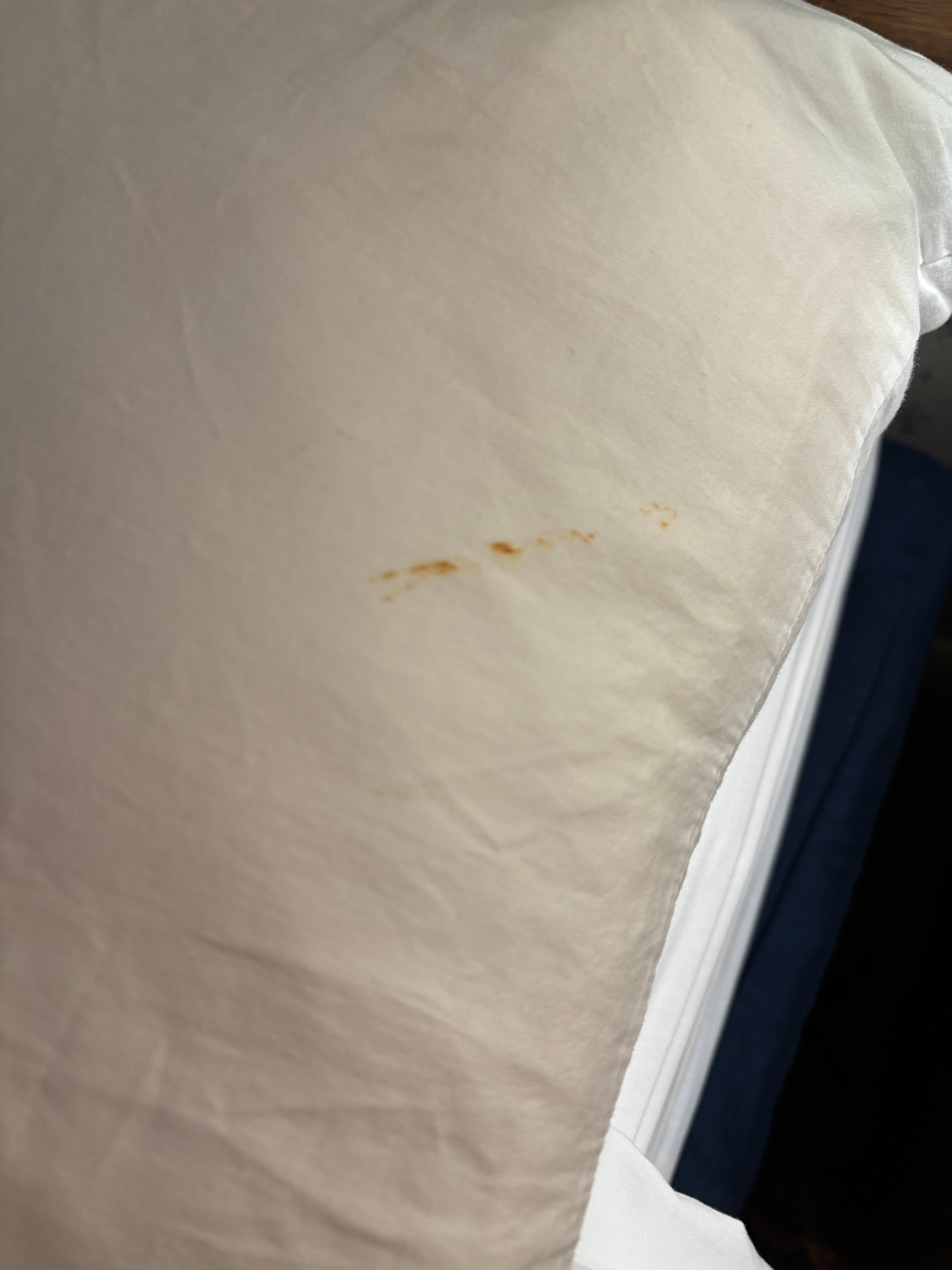 Cedar Motor Inn-官方