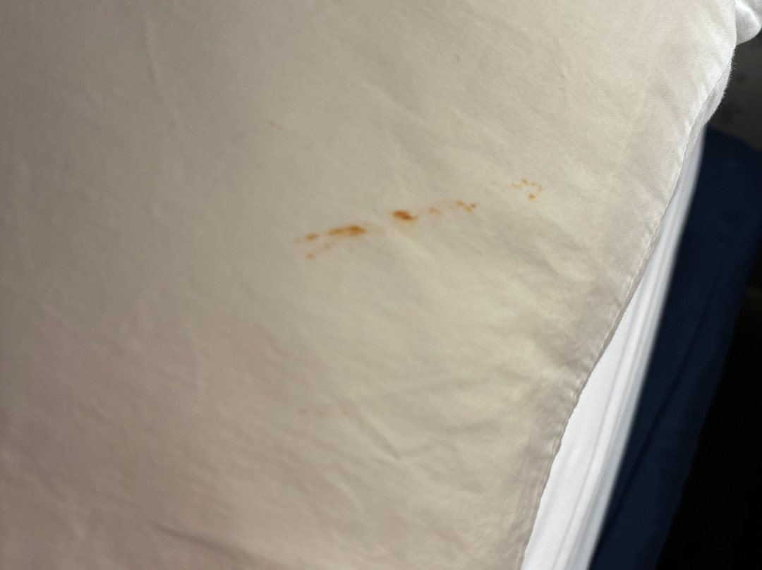 Cedar Motor Inn主图