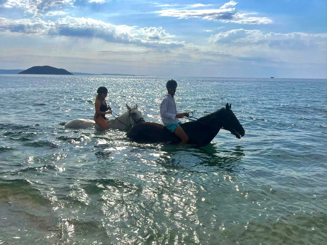 Ziogas Riding Center-Neos Marmaras必去景点