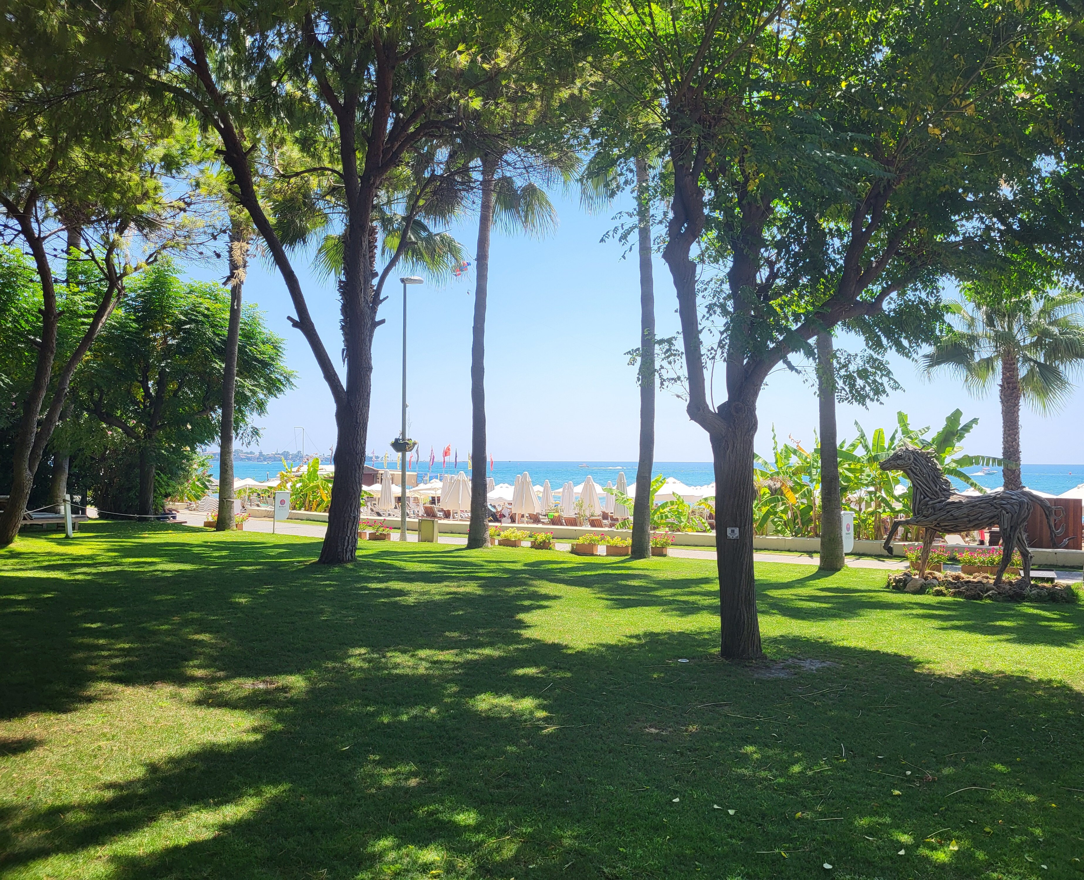 Barut Hemera-官方