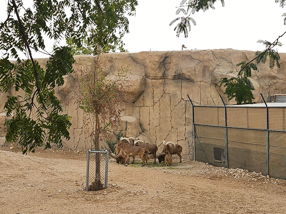 Al Ain Zoo 2017 2018 2019-艾因市必去景点