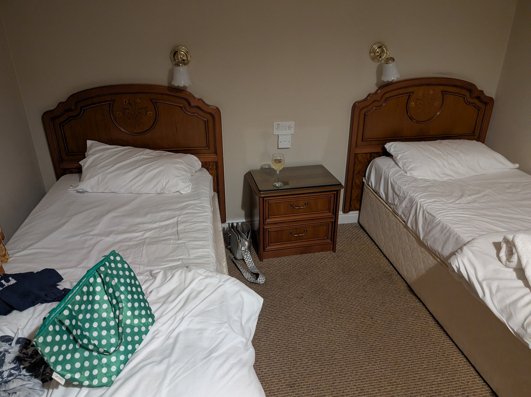 Gwesty Carreg Bran Hotel主图