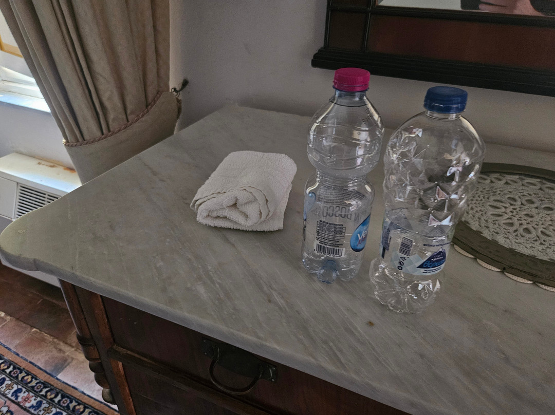 Villa Michaela (già Villa Nottolini)-卢卡必去景点